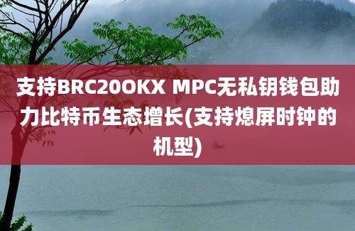 支持BRC20OKX MPC无私钥钱包助力比特币生态增长(支持熄屏时钟的机型)