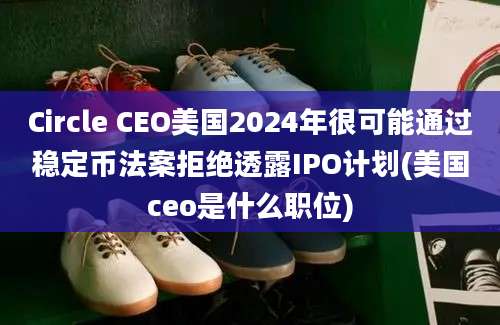 Circle CEO美国2024年很可能通过稳定币法案拒绝透露IPO计划(美国ceo是什么职位)