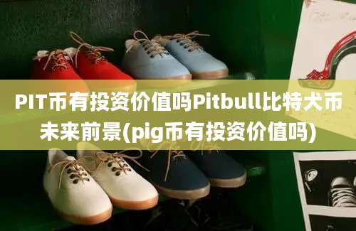 PIT币有投资价值吗Pitbull比特犬币未来前景(pig币有投资价值吗)