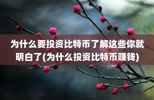 为什么要投资比特币了解这些你就明白了(为什么投资比特币赚钱)