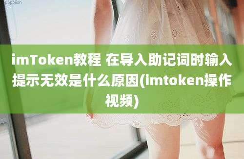 imToken教程 在导入助记词时输入提示无效是什么原因(imtoken操作视频)