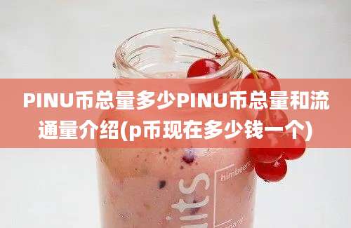 PINU币总量多少PINU币总量和流通量介绍(p币现在多少钱一个)