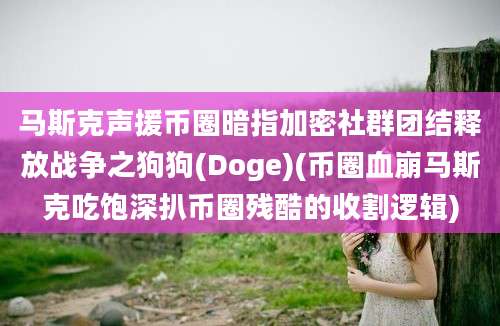 马斯克声援币圈暗指加密社群团结释放战争之狗狗(Doge)(币圈血崩马斯克吃饱深扒币圈残酷的收割逻辑)