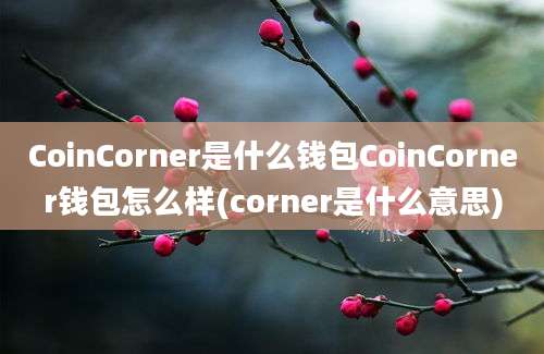 CoinCorner是什么钱包CoinCorner钱包怎么样(corner是什么意思)