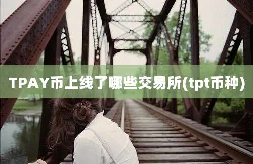 TPAY币上线了哪些交易所(tpt币种)