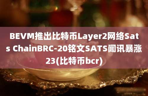 BEVM推出比特币Layer2网络Sats ChainBRC-20铭文SATS闻讯暴涨23(比特币bcr)