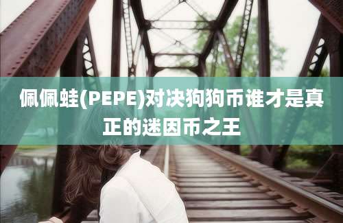 佩佩蛙(PEPE)对决狗狗币谁才是真正的迷因币之王