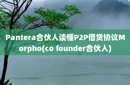 Pantera合伙人读懂P2P借贷协议Morpho(co founder合伙人)