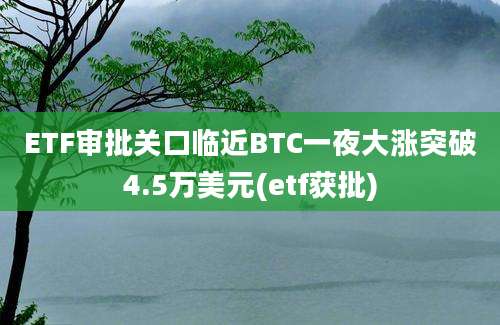 ETF审批关口临近BTC一夜大涨突破4.5万美元(etf获批)