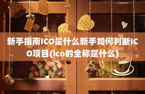 新手指南ICO是什么新手如何判断ICO项目(ico的全称是什么)