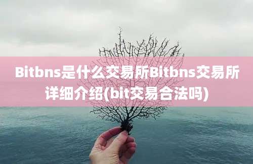 Bitbns是什么交易所Bitbns交易所详细介绍(bit交易合法吗)