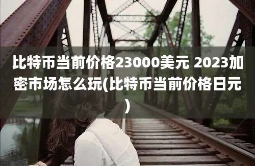 比特币当前价格23000美元 2023加密市场怎么玩(比特币当前价格日元)