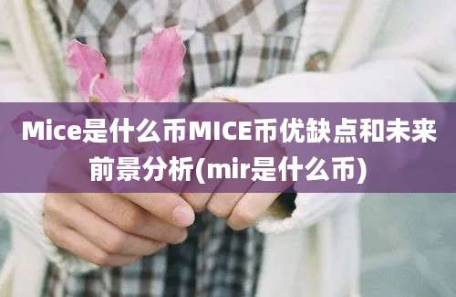 Mice是什么币MICE币优缺点和未来前景分析(mir是什么币)