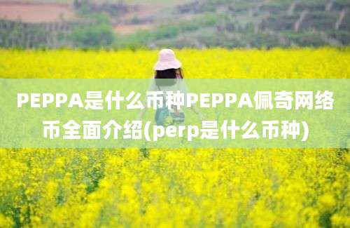 PEPPA是什么币种PEPPA佩奇网络币全面介绍(perp是什么币种)