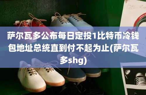 萨尔瓦多公布每日定投1比特币冷钱包地址总统直到付不起为止(萨尔瓦多shg)