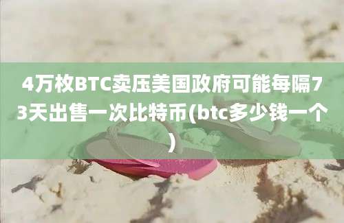 4万枚BTC卖压美国政府可能每隔73天出售一次比特币(btc多少钱一个)