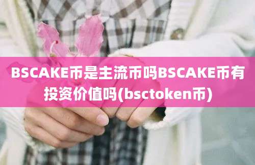 BSCAKE币是主流币吗BSCAKE币有投资价值吗(bsctoken币)