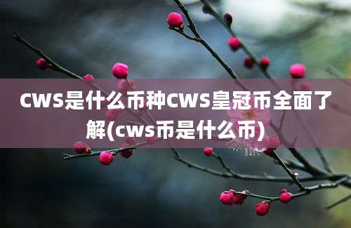 CWS是什么币种CWS皇冠币全面了解(cws币是什么币)