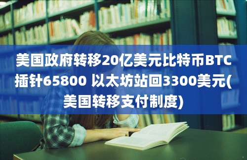 美国政府转移20亿美元比特币BTC插针65800 以太坊站回3300美元(美国转移支付制度)