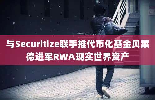 与Securitize联手推代币化基金贝莱德进军RWA现实世界资产