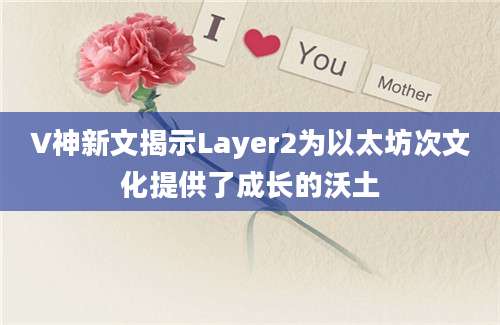 V神新文揭示Layer2为以太坊次文化提供了成长的沃土