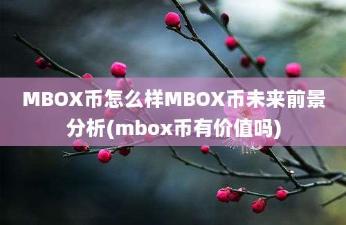 MBOX币怎么样MBOX币未来前景分析(mbox币有价值吗)