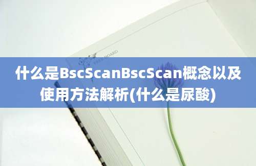 什么是BscScanBscScan概念以及使用方法解析(什么是尿酸)