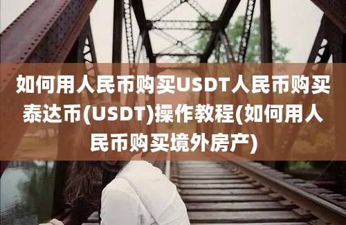 如何用人民币购买USDT人民币购买泰达币(USDT)操作教程(如何用人民币购买境外房产)