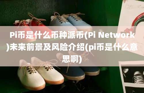 Pi币是什么币种派币(Pi Network)未来前景及风险介绍(pi币是什么意思啊)