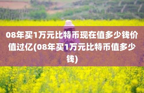 08年买1万元比特币现在值多少钱价值过亿(08年买1万元比特币值多少钱)