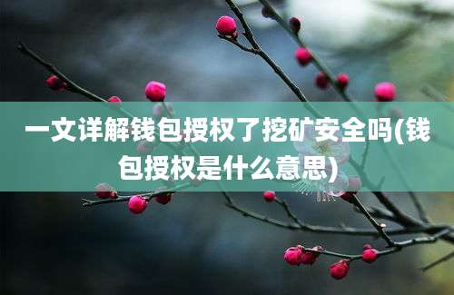 一文详解钱包授权了挖矿安全吗(钱包授权是什么意思)