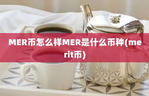 MER币怎么样MER是什么币种(merit币)