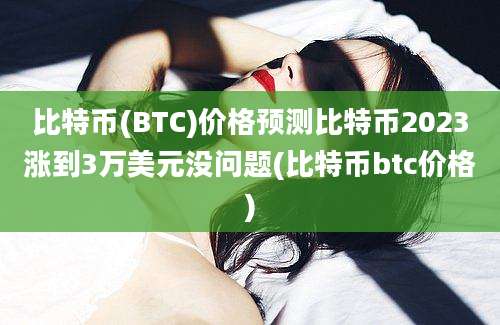 比特币(BTC)价格预测比特币2023涨到3万美元没问题(比特币btc价格)