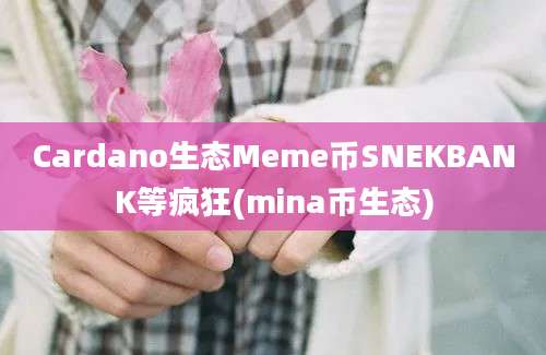 Cardano生态Meme币SNEKBANK等疯狂(mina币生态)