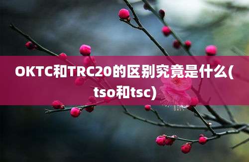 OKTC和TRC20的区别究竟是什么(tso和tsc)