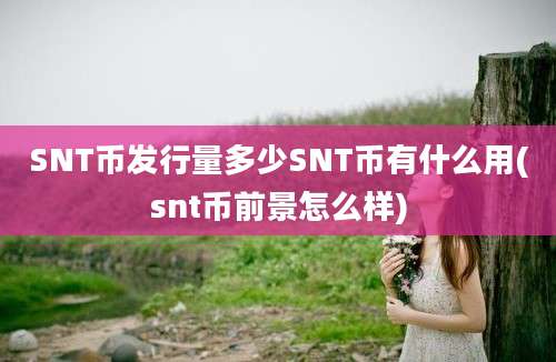 SNT币发行量多少SNT币有什么用(snt币前景怎么样)