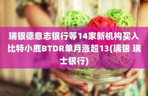 瑞银德意志银行等14家新机构买入比特小鹿BTDR单月涨超13(瑞银 瑞士银行)