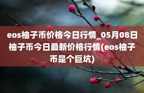 eos柚子币价格今日行情_05月08日柚子币今日最新价格行情(eos柚子币是个巨坑)