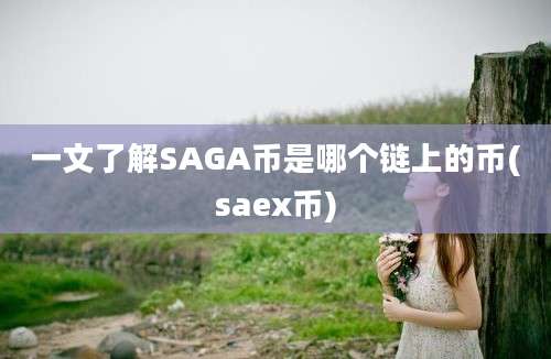 一文了解SAGA币是哪个链上的币(saex币)