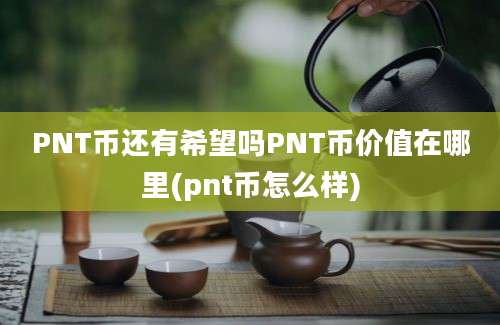 PNT币还有希望吗PNT币价值在哪里(pnt币怎么样)