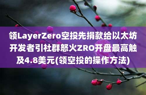 领LayerZero空投先捐款给以太坊开发者引社群怒火ZRO开盘最高触及4.8美元(领空投的操作方法)