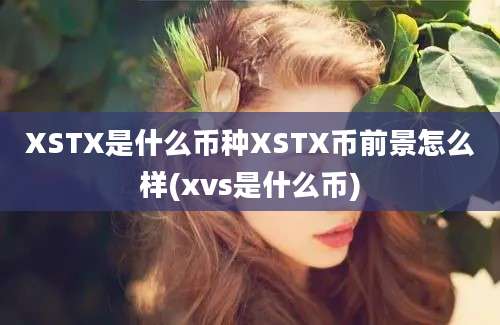 XSTX是什么币种XSTX币前景怎么样(xvs是什么币)