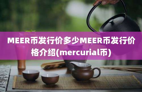 MEER币发行价多少MEER币发行价格介绍(mercurial币)