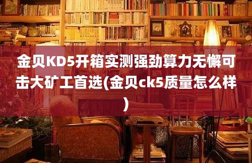 金贝KD5开箱实测强劲算力无懈可击大矿工首选(金贝ck5质量怎么样)