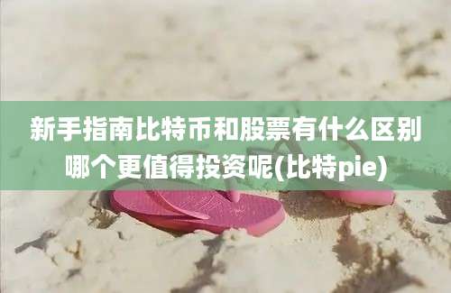 新手指南比特币和股票有什么区别哪个更值得投资呢(比特pie)