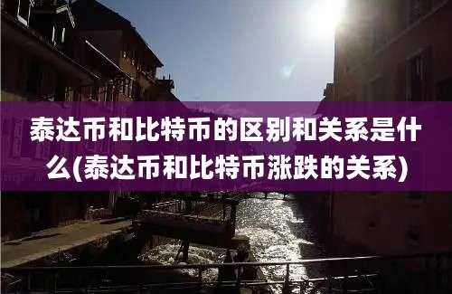 泰达币和比特币的区别和关系是什么(泰达币和比特币涨跌的关系)