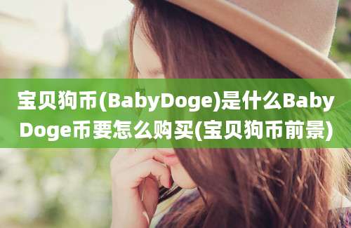 宝贝狗币(BabyDoge)是什么BabyDoge币要怎么购买(宝贝狗币前景)