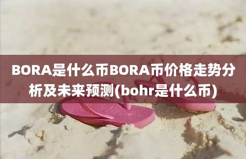 BORA是什么币BORA币价格走势分析及未来预测(bohr是什么币)