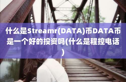 什么是Streamr(DATA)币DATA币是一个好的投资吗(什么是程控电话)