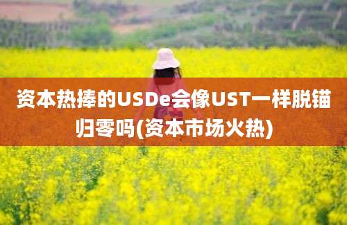 资本热捧的USDe会像UST一样脱锚归零吗(资本市场火热)